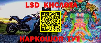 хмурый Можга