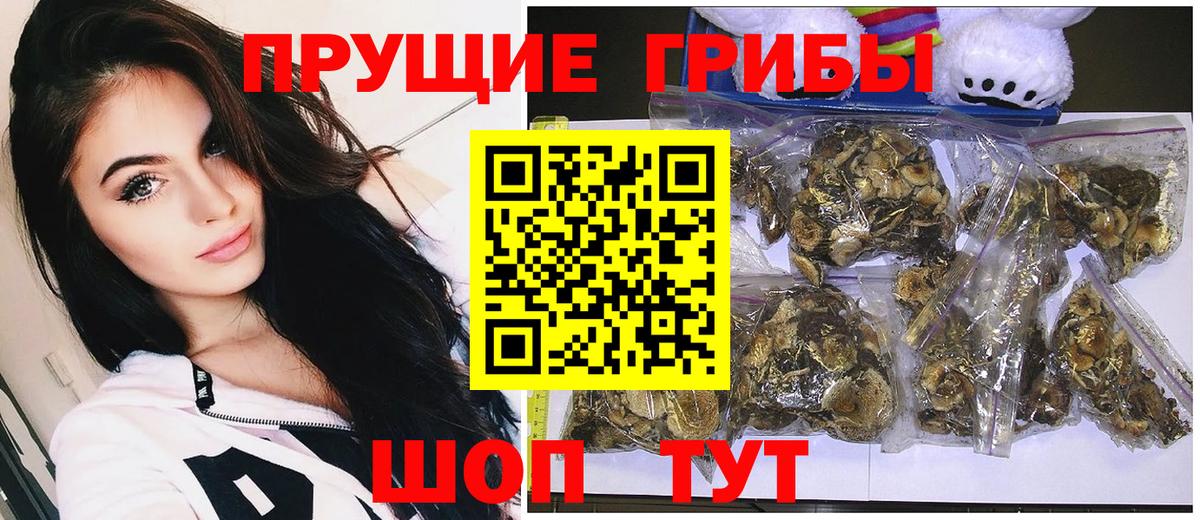 Галлюциногенные грибы Psilocybine cubensis  хочу наркоту  Фурманов  Вход с VPN  Псилоцибиновые грибы MAGIC MUSHROOMS 